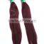 VIP factory supply Most fashionable can be dyed cheap 100% virgin brazilian hair