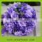 2016TouchHealthy Supply High Germination Eustoma Flower For Sowing