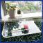 High quality acrylic fruit tray supplies