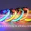 dog collar led lights