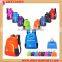 Foldable Convenient Backpack