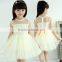 Hot fashion sleeveless multi-layer dress design girls party lace tutu kids dress