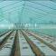 Agricultural Mulch Film/agriculture Polyethylene Film/ Mulch New Film