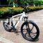 mountain electric bicycle