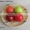 Realistic artificial foam apples in assorted colours for fall autumn fallorhalloween seasonal display decorations