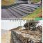 high quality anping hexagonal mesh(manufacture)