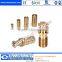 Good Strength brass pool anchors:Decorative Brass anchor m8