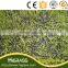 Holland Tencate Soccer field grass football artificial grass for sports
