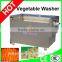 High efficient Electric Friut Vegetable washer/Superior Electric Friut Vegetable washer