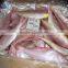 Japanese Thread Fin Bream Fish IQF 10 KG ORIGIN Pakistan