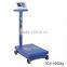 Heavy Duty Movable Wheel Electronic Weighing Scale 600kg