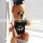 2016 graduation teddy bear,graduation teddy bear,the graduation teddy bear