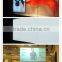 electrochromic PDLC FILM in china