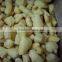 China Frozen IQF ginger peeled with best price