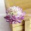 Newest Design Plastic Succulent Plants Mini Artificial Succulent Plant Without Pot