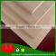 FACTORY- paulownia edge glued veneer wood strip