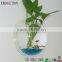best selling china manufacturer wall mount acrylic fish tank