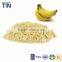 TTN export organic market prices dried fruit banana powder