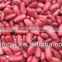 2015 crop kidney bean