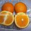 2015 New Crop of Chinese Fresh Navel orange