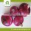 Big red onion China