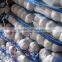 Shandong Natural Good Quality And Low Price Fresh Garlic