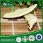 Wholesales whole and slice dried good quality mushrooms