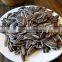Natural style sunflower seeds