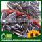 Hot Sell Round shape Black/White 2015 Sunflower Seeds Crop