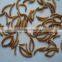 Microwaved Mealworm For Bird Worm&Insect