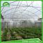 Roof window hydroponics greenhouse for agriculture invernadero
