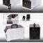 Remote Control Ozone Generator Ceramic for Air Purifier