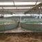 RAS Aquaculture Fish Farm System