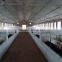 High Tensile Galvanized Field Metal Livestock Farm Fences