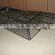 Humane Galvanized Mouse Trap Cage