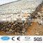 high quality anping hexagonal mesh fence factory(ISO9001)