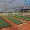 large plastic film greenhouse with control system for plant growth