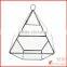 Geometric Glass Terrarium