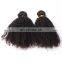 china hair factory 10a grade original brazilian hair afro curly human hair weave