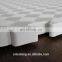 Gymnastics T Pattern 2.0cm Jiu-Jitsu Tatami Puzzle Mat