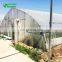 2017 China Popular Vegetable Tunnel Greenhouse Producers