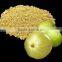 High Quality Amla Powder For Sale