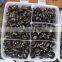 620 Pcs Car Retainer Clips & Plastic Fasteners Kit- Auto Push Pin Rivets Set with Fastener Remover and Hose Clamps- Door Trim