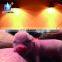 electric heater for poultry pig goat house electric Infrared Heating light