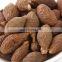 High quality Malva Nuts from Vietnam with Best price
