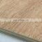 12mm  bintangor face  poplar core two times hot pressed   from chengxin wood factory