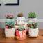 New Design Outdoor Pots Large In Bulk Manufacturer Planter Cheap Potted Luxury Artifical Flower Pot