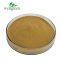 FREE SAMPLE Chinese Natural Herb Kosher Halal Food and Cosmetic Grade Honeysuckle Flower Extract Powder