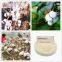 agriculture fertilizer tdz thidiazuron 50%wp White to light yellow powder