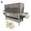 Garlic Cleaning Processing Line Garlic Bulb Breaking Machine Dry Garlic Peeling Machine